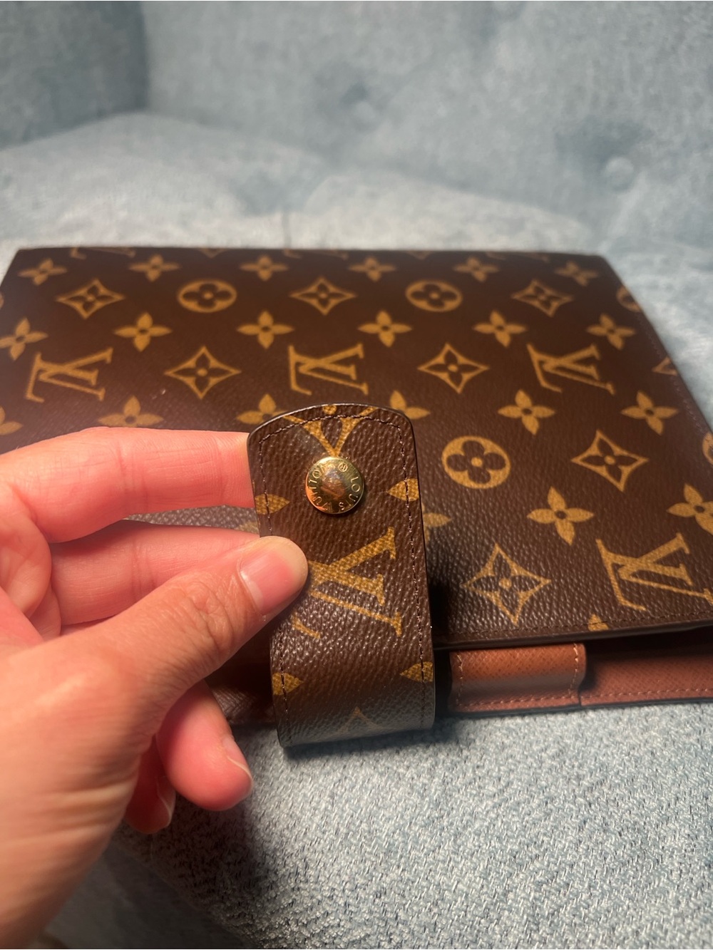Louis Vuitton Large Ring Agenda Cover - Picture 7 of 17